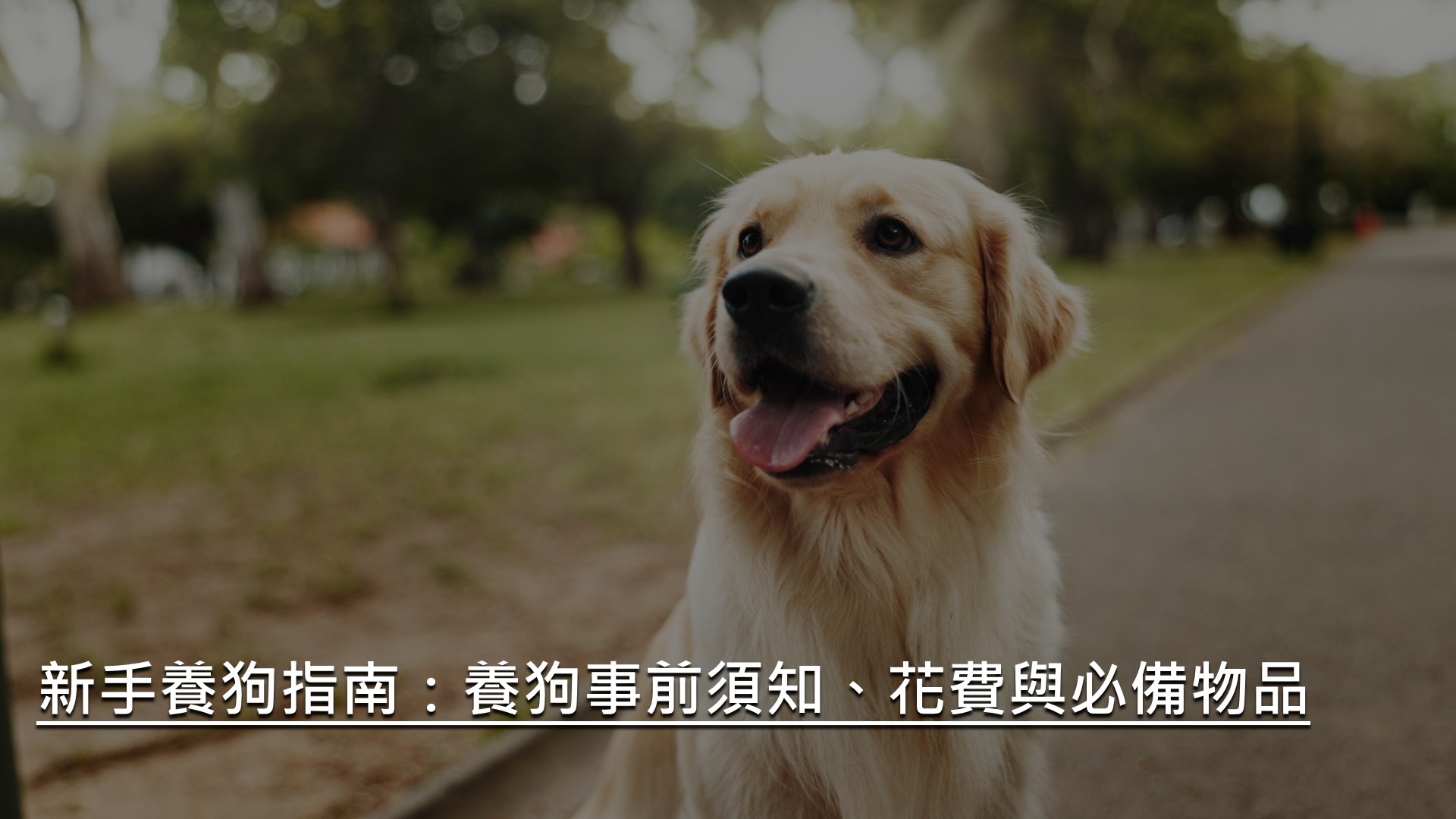 養狗須知