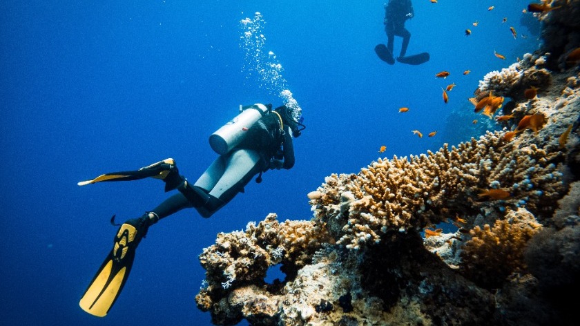 水肺潛水手冊|水肺/自潛/浮淺差異、裝備、證照總整理