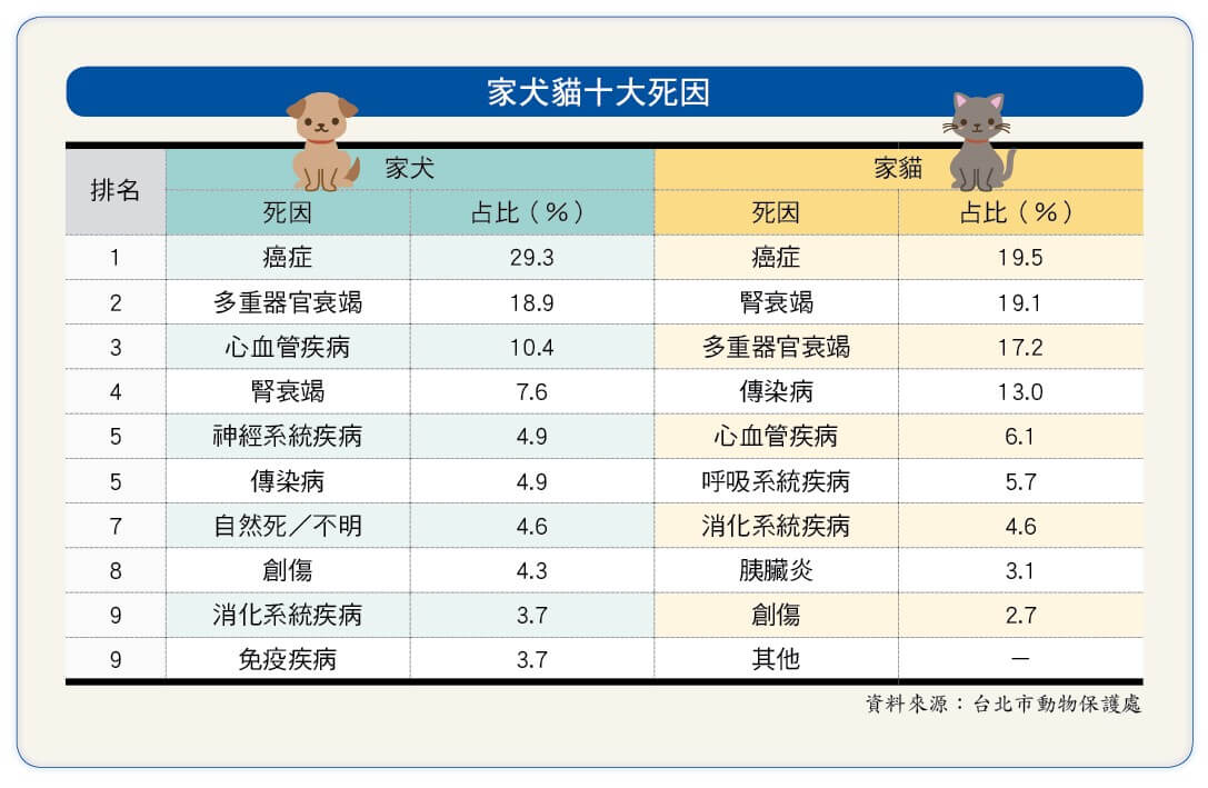 毛小孩10大死因獸醫這樣看